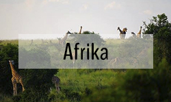 Turen går til Afrika - Vandring og safari